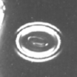 Gel / Fischauge