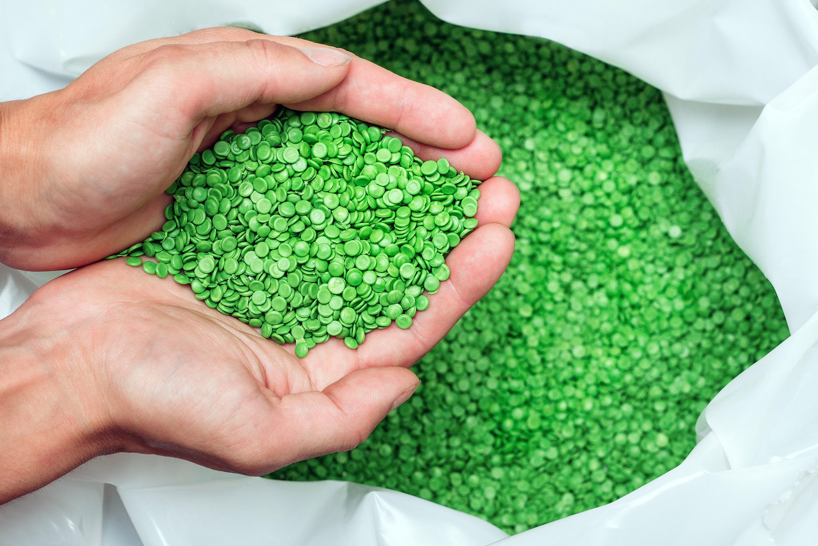 Recyclate granulate in an inspector's hands